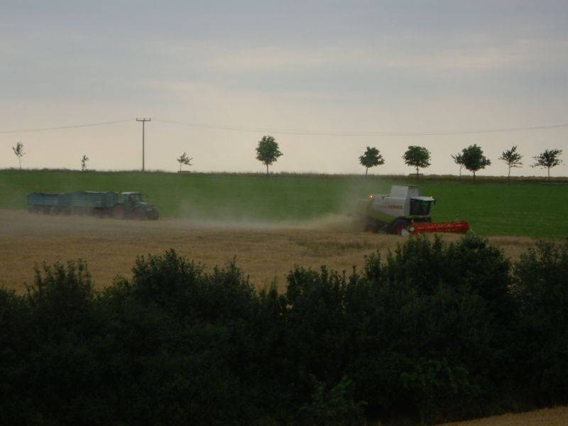 IMGP0395.jpg