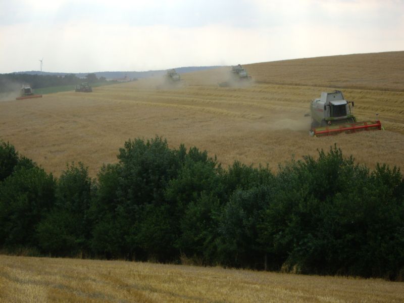 IMGP0405.jpg