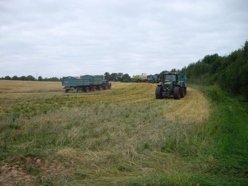 IMGP0414.jpg