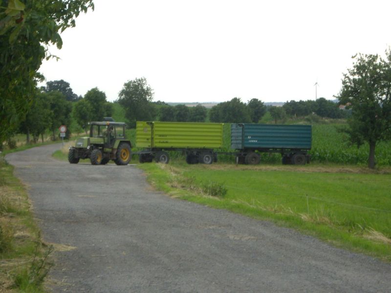 IMGP0431.jpg
