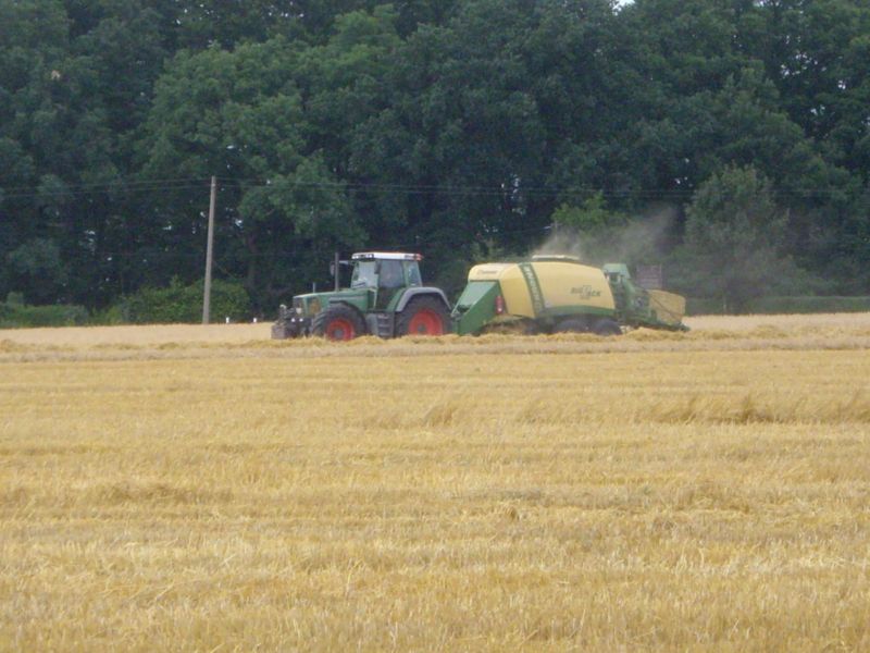 IMGP0455.jpg