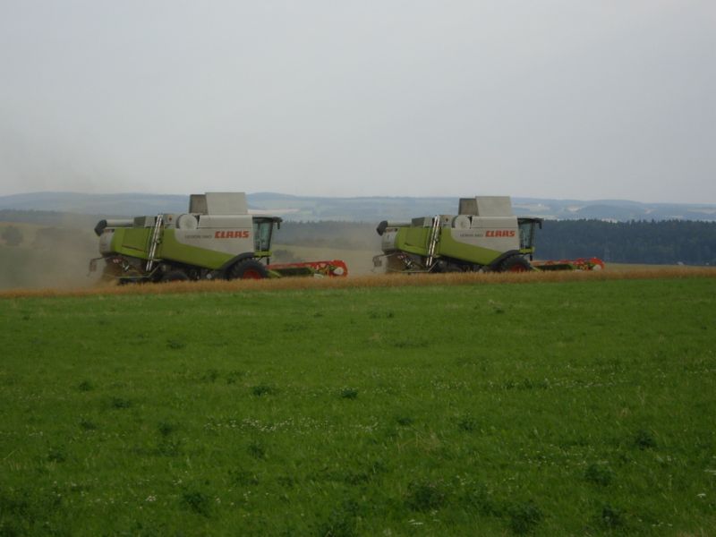 IMGP0458.jpg