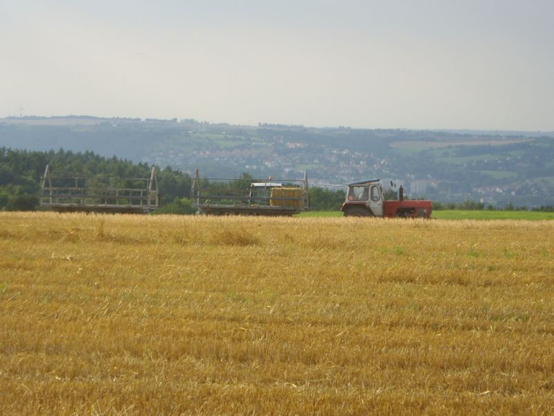 IMGP0465.jpg