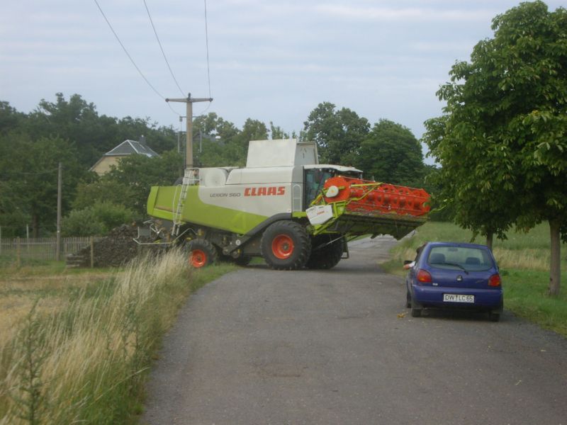 IMGP0480.jpg