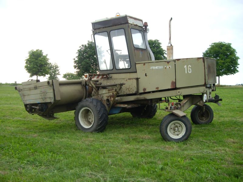 IMGP0440.jpg