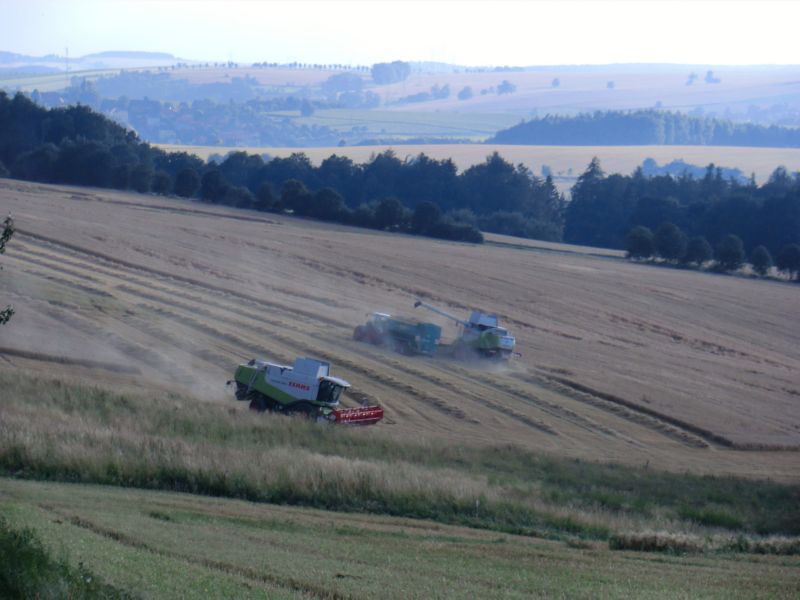 bilder/15_7_2011/CIMG2993.jpg