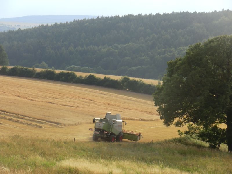 bilder/15_7_2011/CIMG3006.jpg