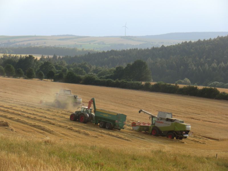 bilder/15_7_2011/CIMG3015.jpg