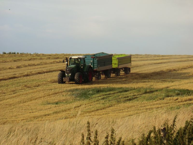 bilder/15_7_2011/CIMG3023.jpg