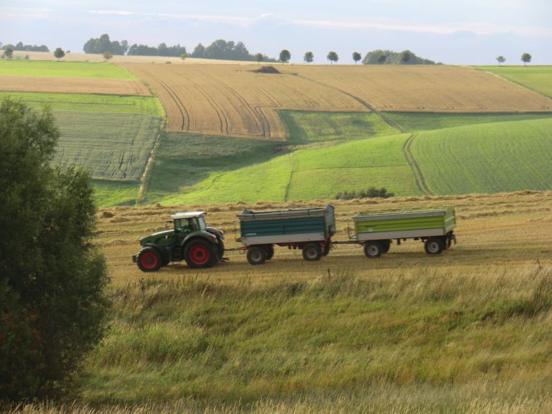 bilder/27_7_2005/lexion_2.jpg