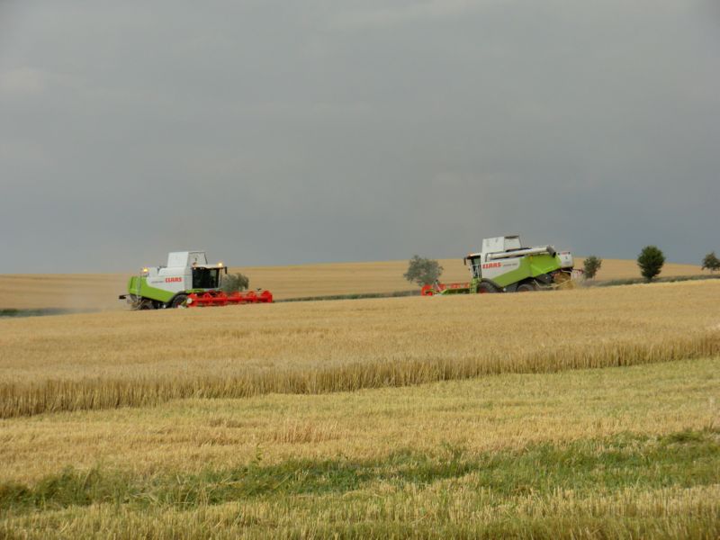 bilder/15_7_2011/CIMG3034.jpg