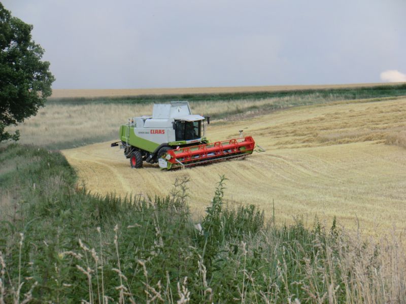 bilder/15_7_2011/CIMG3040.jpg