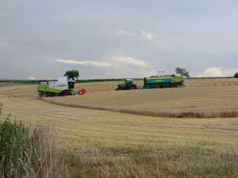 bilder/15_7_2011/CIMG3041.jpg