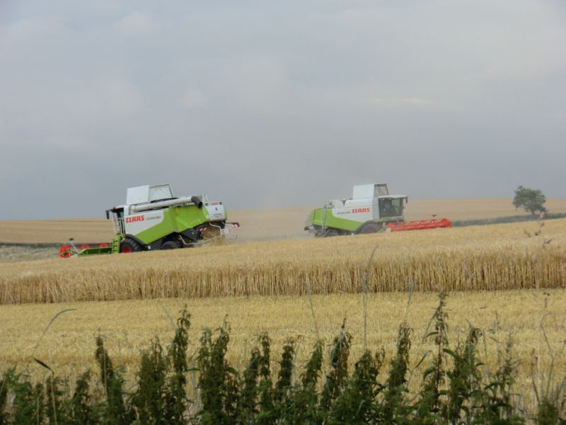bilder/15_7_2011/CIMG3046.jpg