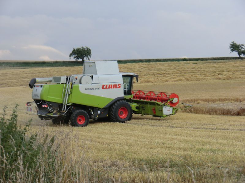 bilder/15_7_2011/CIMG3052.jpg