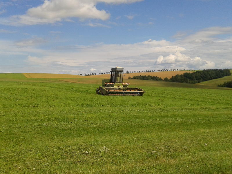 bilder/15_7_2012/2012-07-15153209..jpg