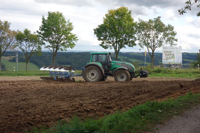 bilder/15_9_2017/DSC00344.jpg