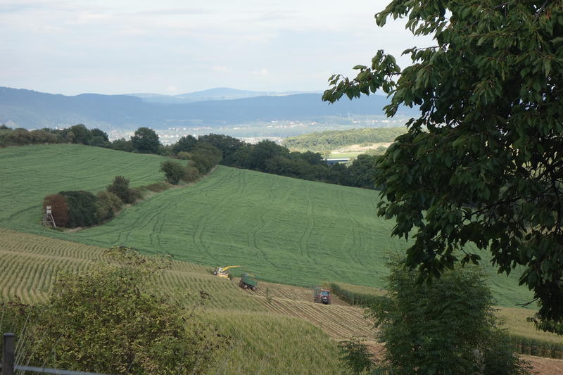 bilder/15_9_2017_2/DSC00368.jpg