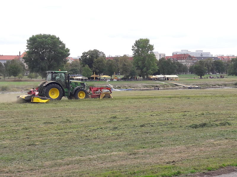 20180915_154654.jpg