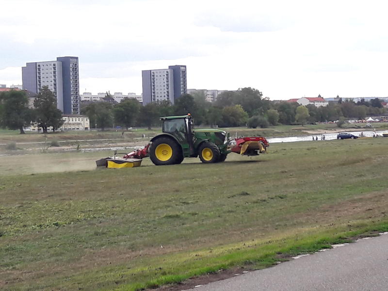 20180915_154703.jpg