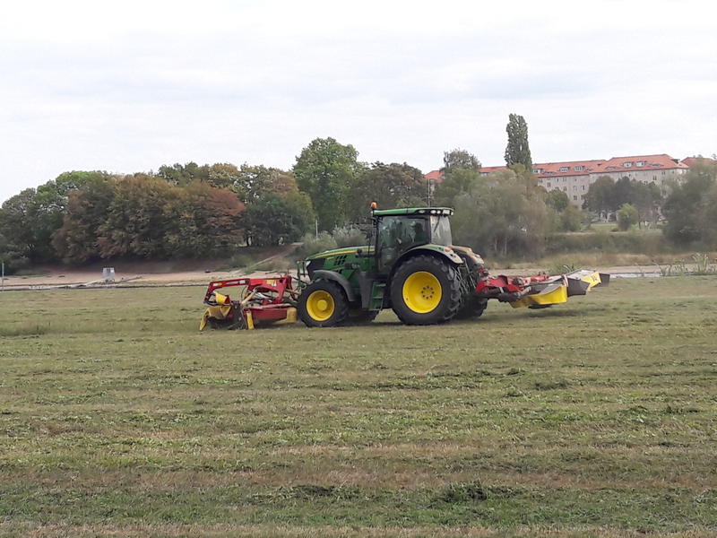 20180915_154723.jpg