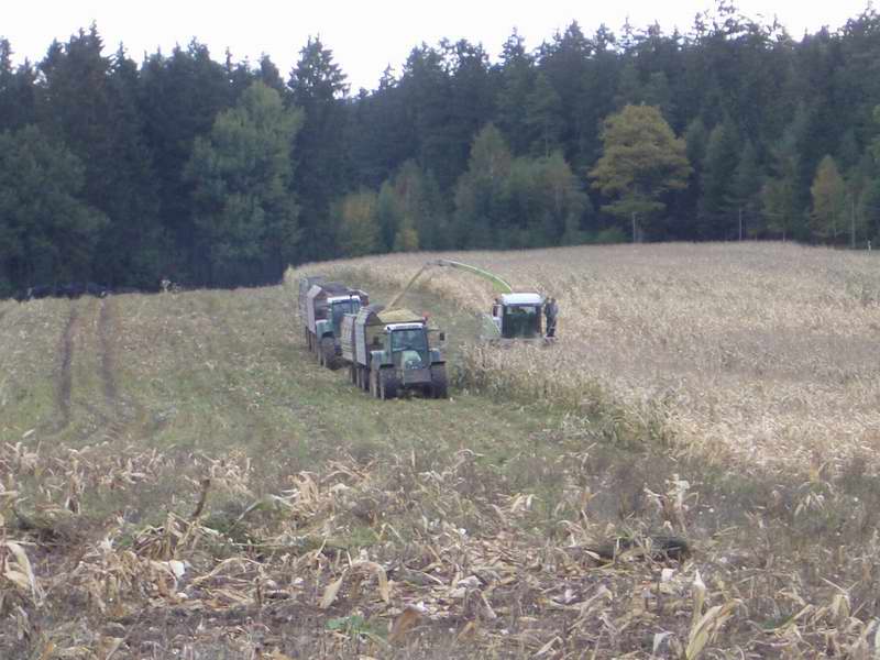bilder/16_10_2004/jaguar_2x_fendt_10.jpg