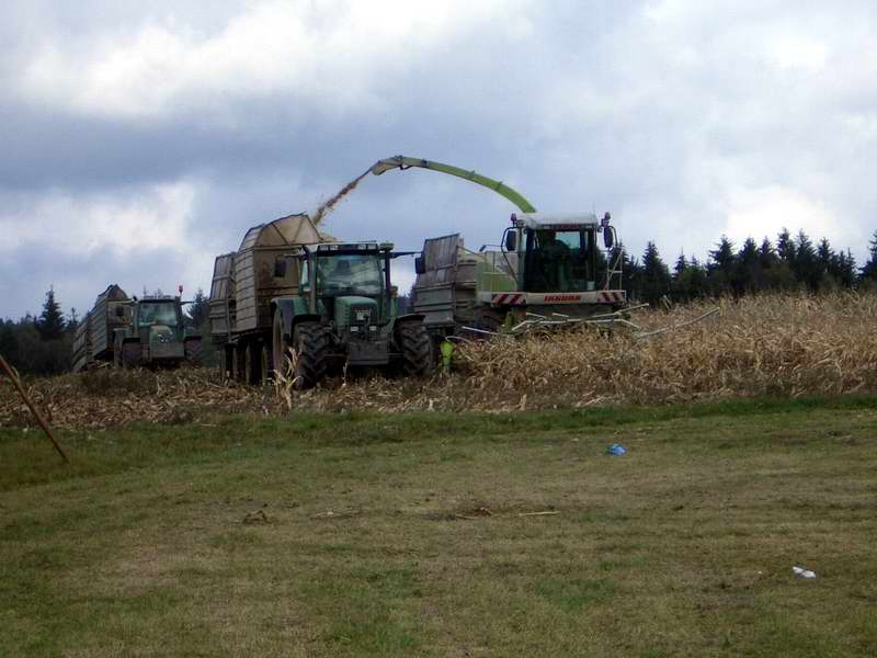 jaguar_2x_fendt_2.jpg