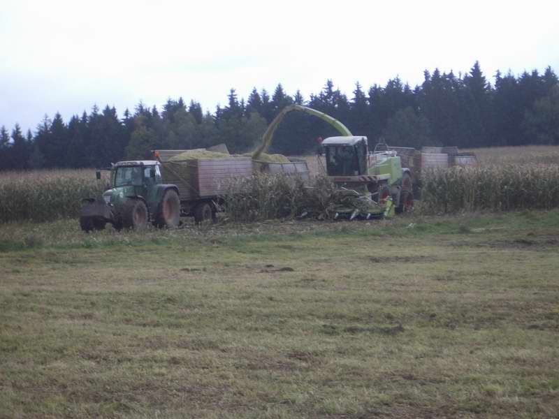 jaguar_2x_fendt_5.jpg