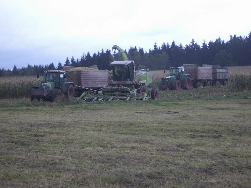 jaguar_2x_fendt_6.jpg
