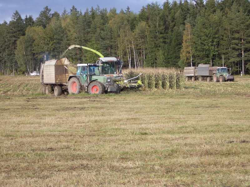 bilder/16_10_2004/jaguar_2x_fendt_7.jpg