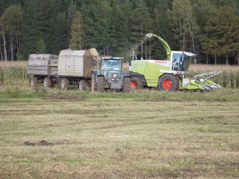 jaguar_fendt_10.jpg
