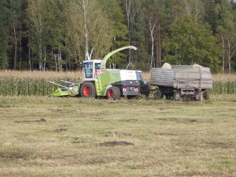 jaguar_fendt_11.jpg