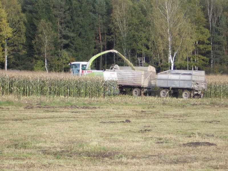 jaguar_fendt_12.jpg