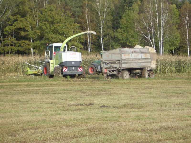 bilder/16_10_2004/jaguar_fendt_15.jpg