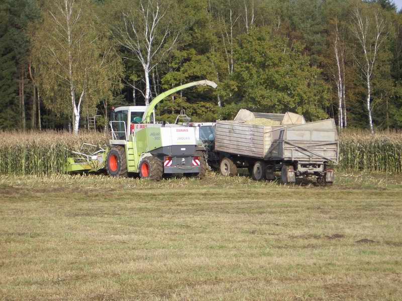 jaguar_fendt_19.jpg