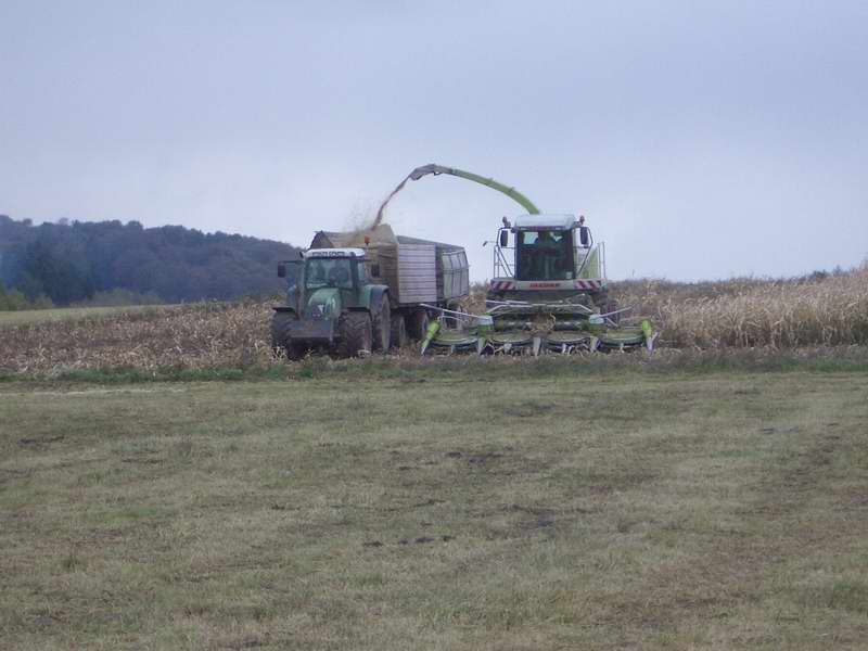 bilder/16_10_2004/jaguar_fendt_2.jpg