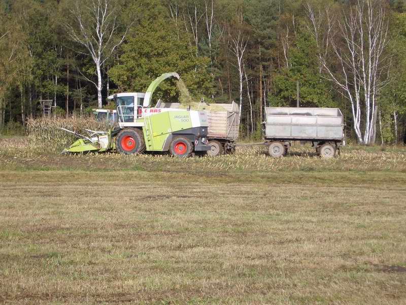 jaguar_fendt_22.jpg