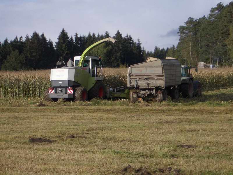 bilder/16_10_2004/jaguar_fendt_23.jpg