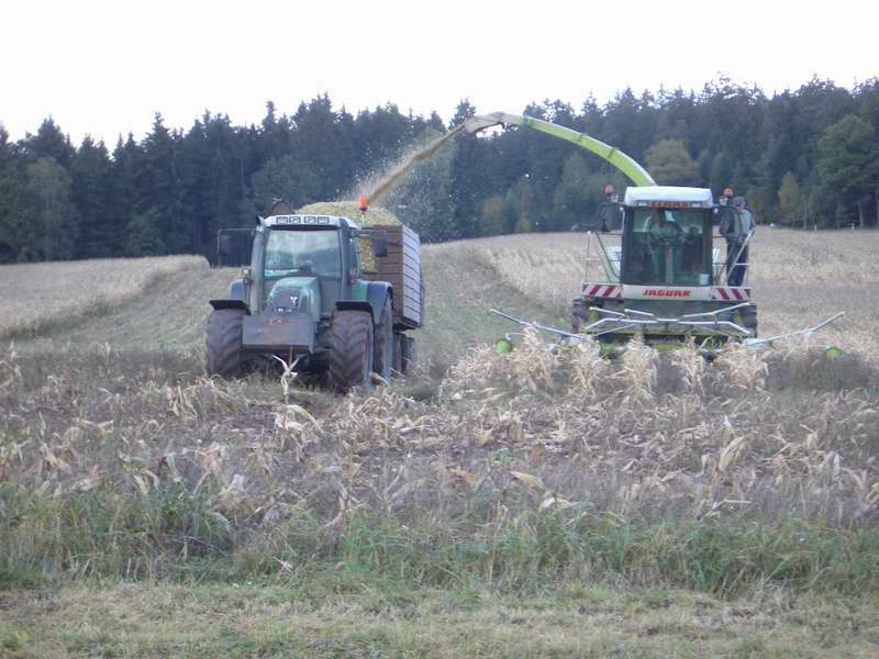 jaguar_fendt_25.jpg