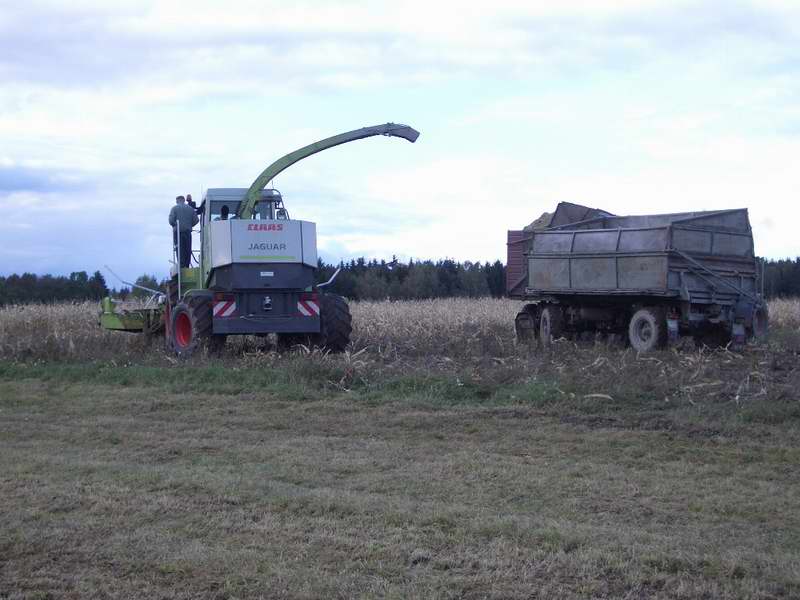 jaguar_fendt_27.jpg