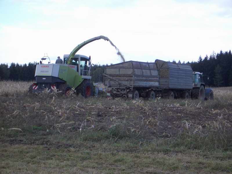 jaguar_fendt_28.jpg