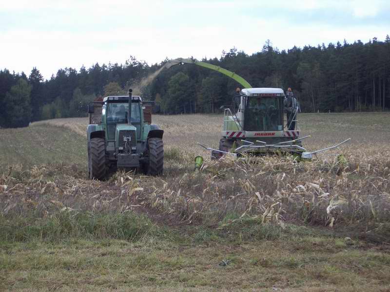 bilder/16_10_2004/jaguar_fendt_29.jpg
