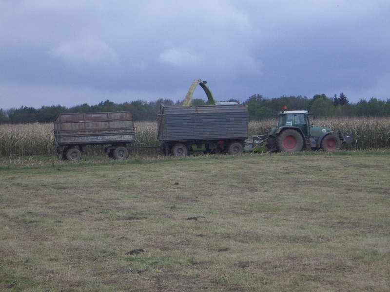bilder/26_4_2002/fendt_5.jpg