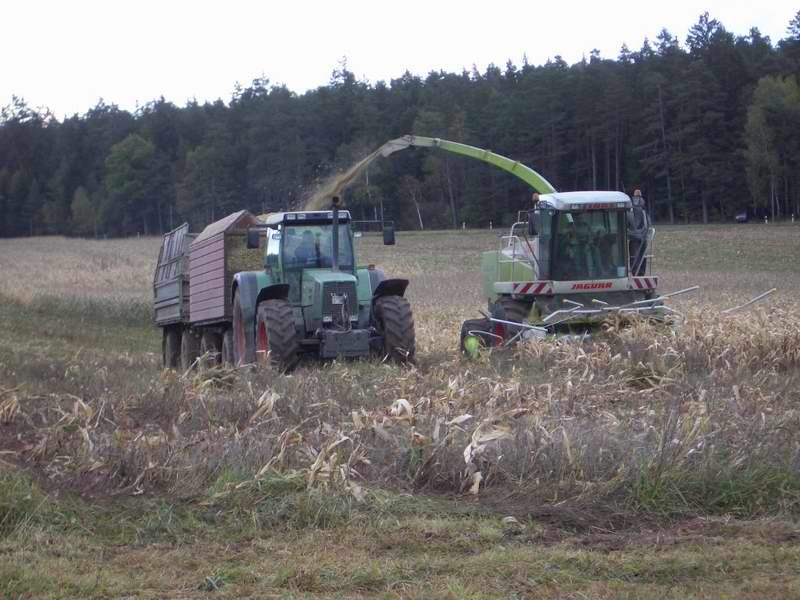 bilder/16_10_2004/jaguar_fendt_32.jpg