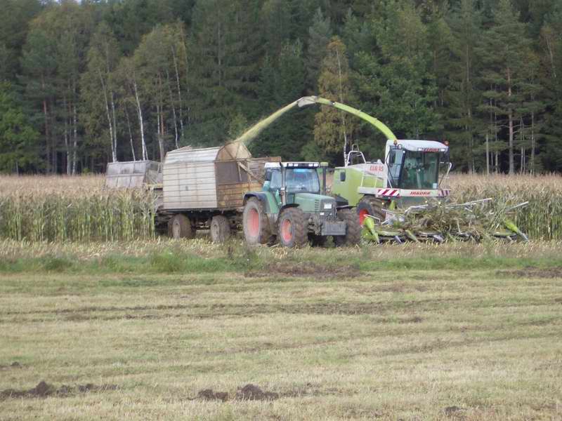 jaguar_fendt_9.jpg