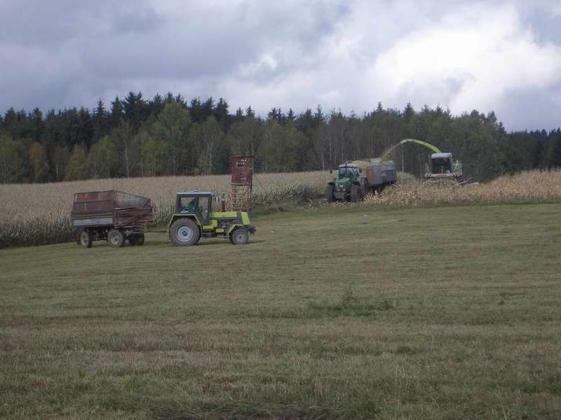 jaguar_fendt_zt_323_2.jpg