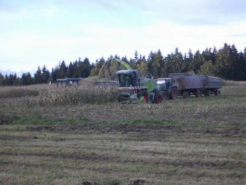 bilder/16_10_2004/jaguar_fendt_zt_323_4.jpg