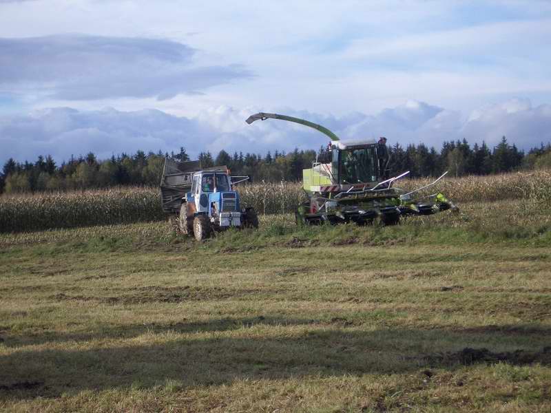 bilder/25_7_2001/mega.jpg