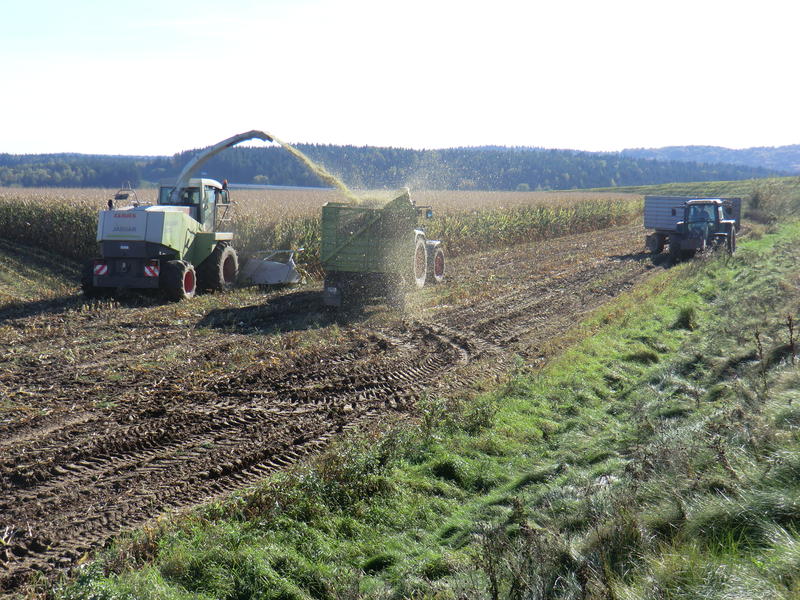 bilder/16_10_2011/CIMG5454.jpg