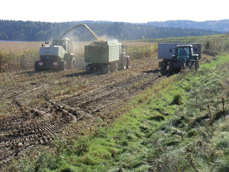 bilder/16_10_2011/CIMG5455.jpg